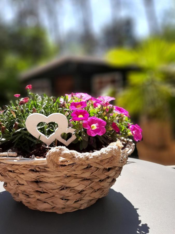 Secret Wellness Boszicht Βίλα Holten Εξωτερικό φωτογραφία